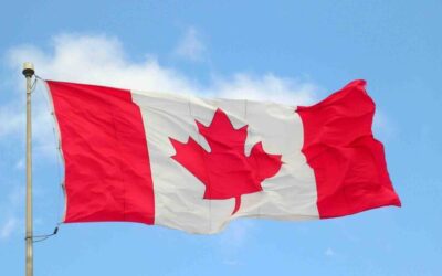 4 Benefits of Hiring Professional BC PNP Immigration Agents