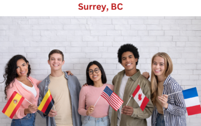 Tips for a Successful BC PNP Application in Surrey, BC
