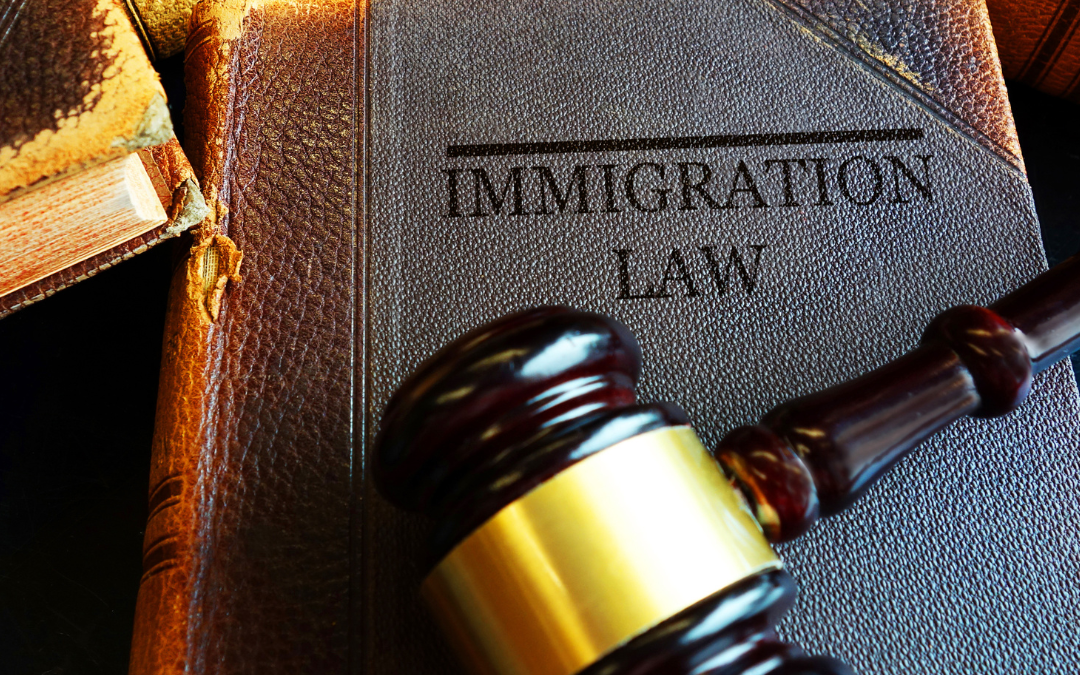 Best Immigration Lawyer